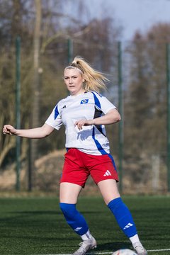 Bild 164 - F Hamburger SV 3 - Blau-Weiss 96 : Ergebnis: 5:1